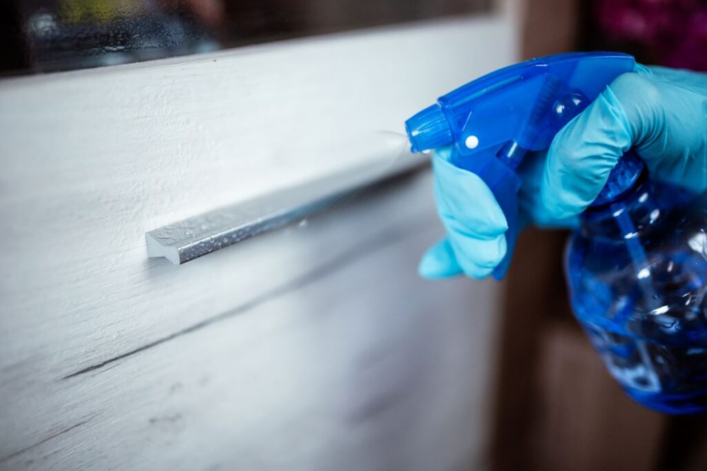 clean kitchen cabinets