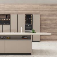 valcucine kitchen refacing
